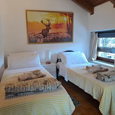 Grande Al Ponte. Situato Vicino All'ospedale, Al Parco E Al Centro Citta Trento